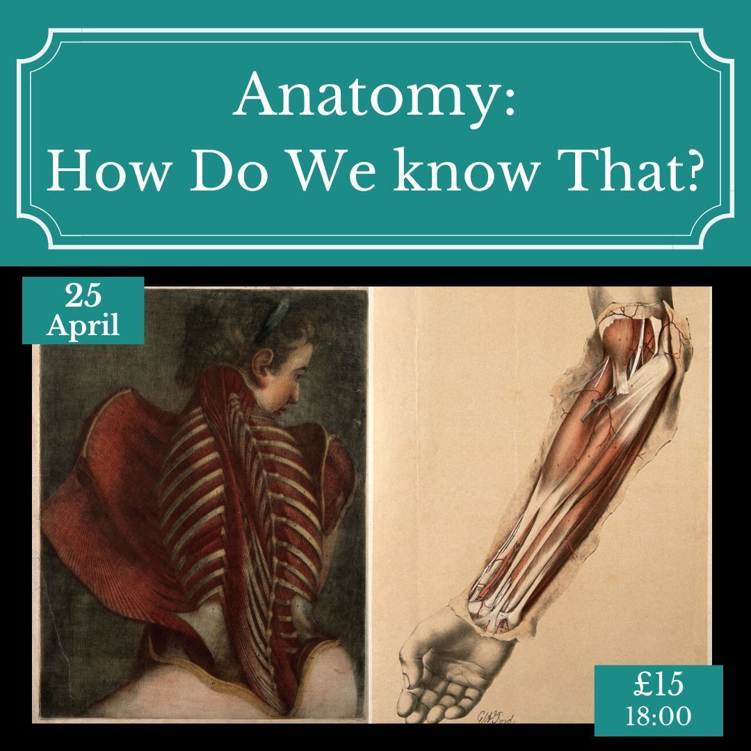 Join us on the 25th of April for 'Anatomy: How Do We Know That?' with Editor-in-Chief of Gray’s Anatomy Susan Standring! This talk will explore the ideas which led us to our modern knowledge of what lies beneath our skin 🔪 More info/tickets: 👉 buff.ly/4aoUNJV