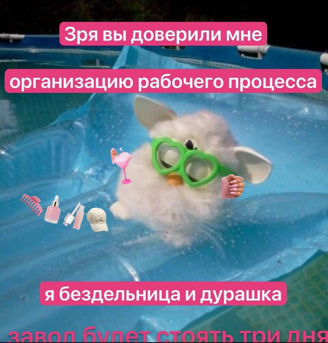 ilyaviache's tweet photo. https://t.co/v5yAbAfbiy