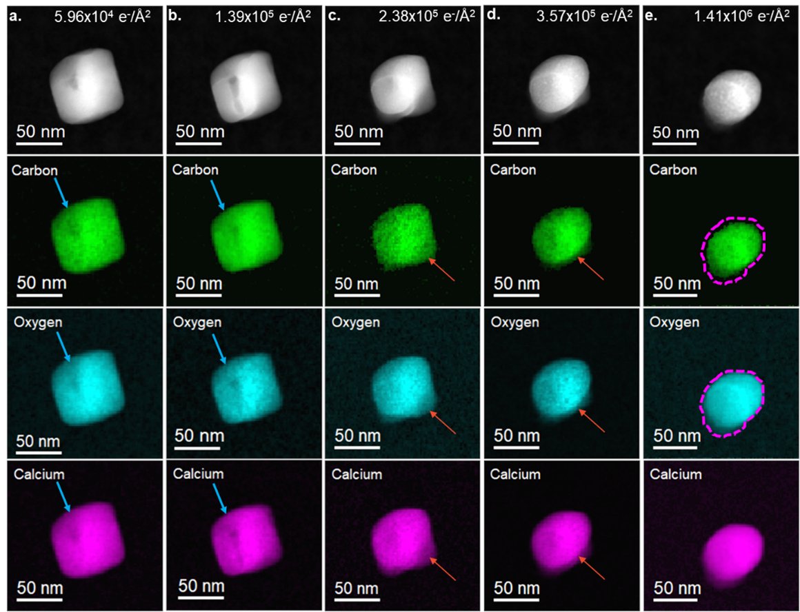 GatanMicroscopy's tweet photo. Learn how in-situ multi-pass spectrum imaging allows the characterization of changes in CaCO3 during radiolysis with unprecedented spatial sensitivity. https://t.co/05okjsOhal
#ElevateYourEELS #EELS #ELNES #InSituTEM #microscopy #SpectrumImaging #eaSI https://t.co/xX6SjWvyJm