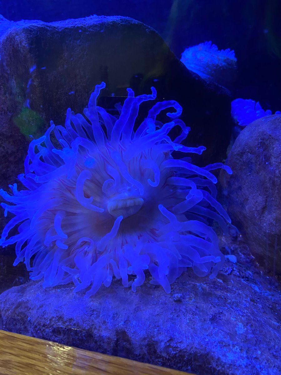 Improving Lives Plym tweet media