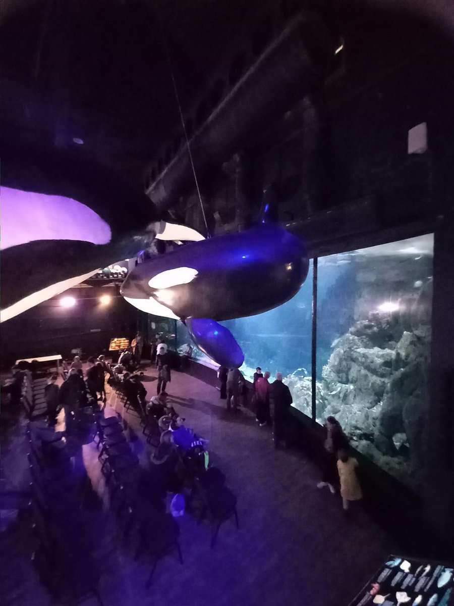 Improving Lives Plym tweet media