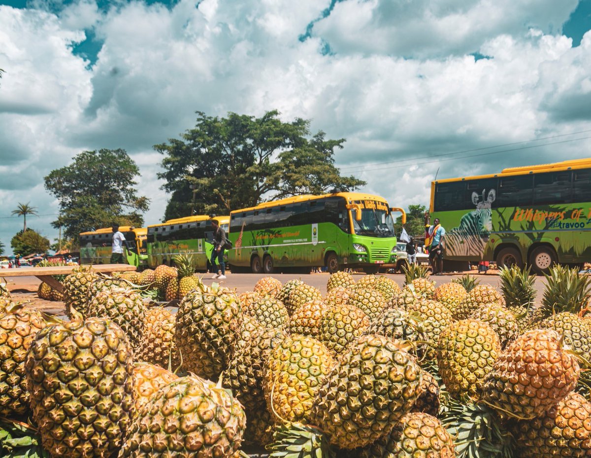 Vibrance, freshness, colour, laughter & great friendly people are synonymous with most Ugandan streets & roadside markets. @ExploreUganda & taste the difference! @ExploreUg_Pearl @TourismBoardUg @mugarra @misstourismUga