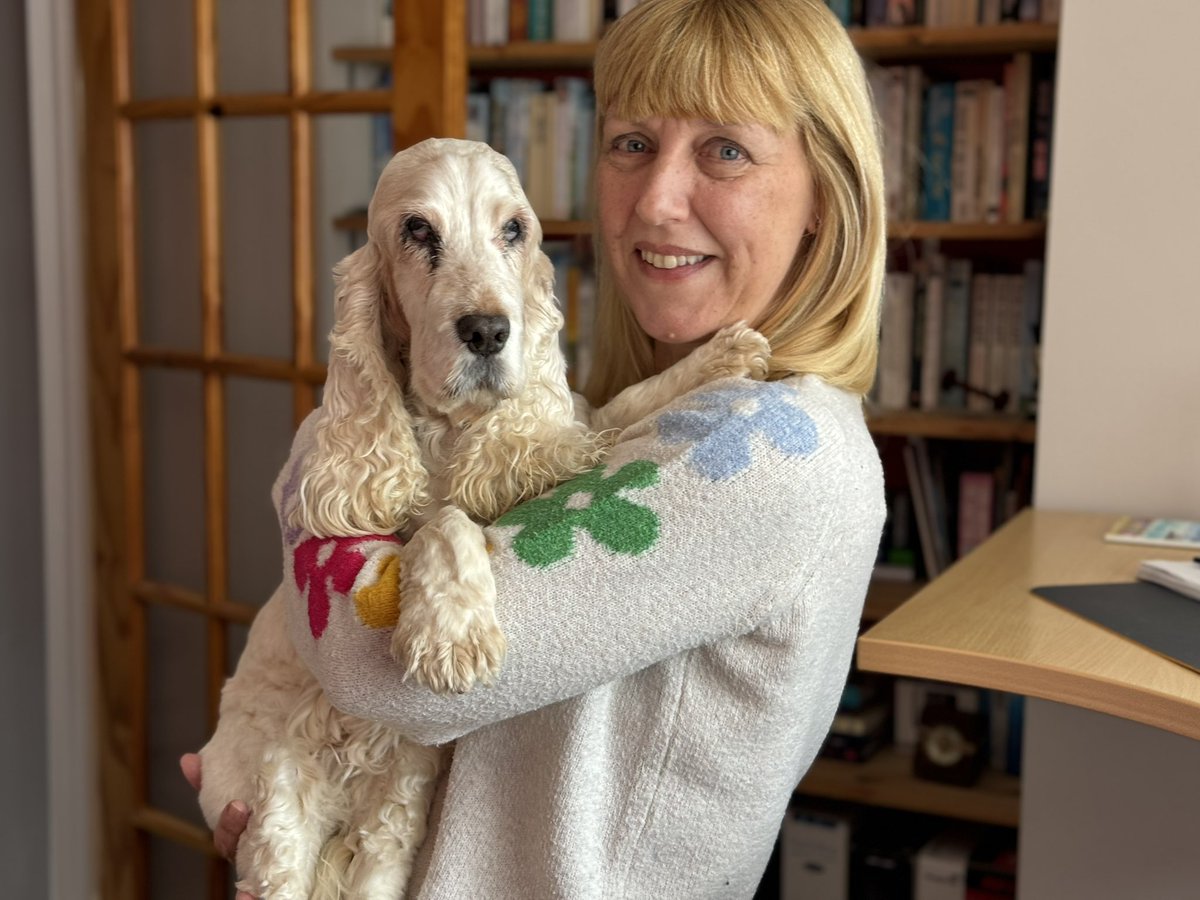 My two special ladies ❤️ #dog #cockerspaniel #englishcockerspaniel #orangeroan #dogsofinstagram