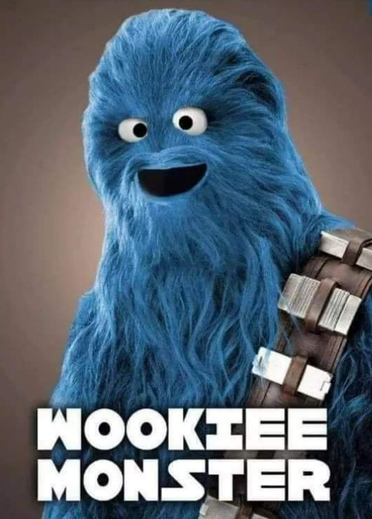 Be careful running into this monster on Sesame Street

#WookieeWednesday