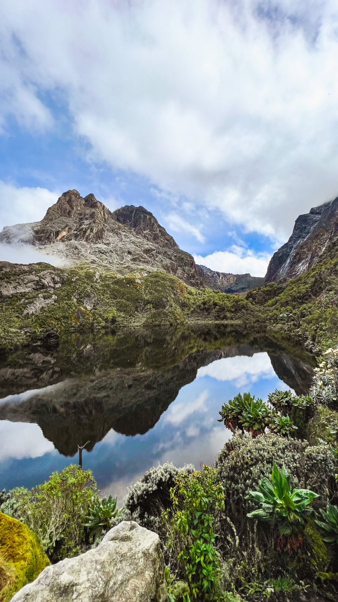 Bringing you your daily dose of paradise The Rwenzori awaits