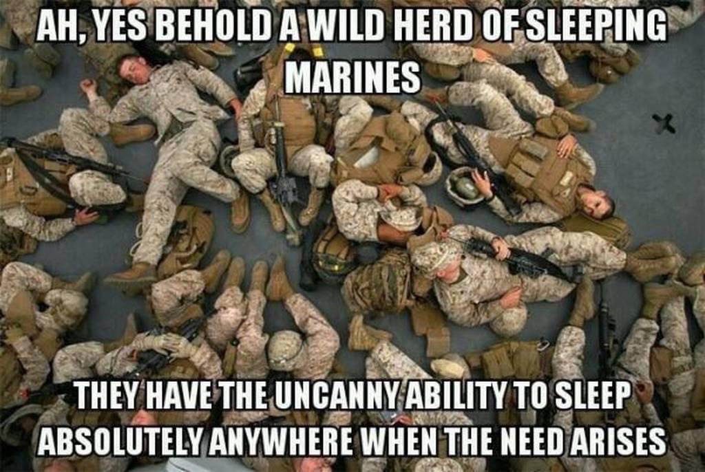 G’Morning #DevilDogs #Vets Coffee’s On 🇺🇸