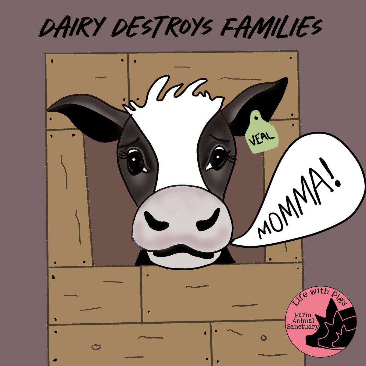 Are dairy farmers really better at raising baby cows than the mother cows?

It’s no secret that the dairy industry takes baby cows away from their moms the day they are born so that they can sell the milk made for that baby to humans.  Dairy farmers will claim it is because they