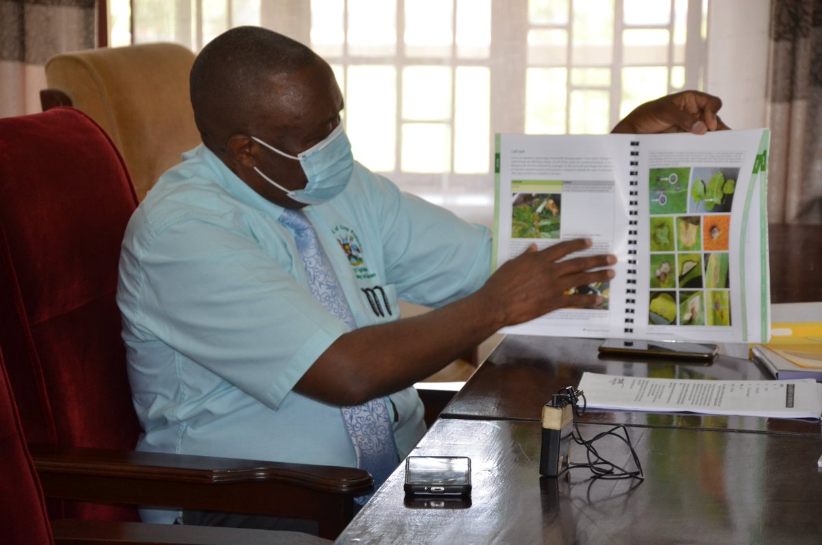 One of the main fruits of the MAAIF🤝CABI collaboration is joint work on pest control knowledge products, carried out with the Department of Crop Protection.  These include factsheets and diagnostic information materials on crop pests and diseases. 

#MAAIF_CABI
#CropProtectionUG