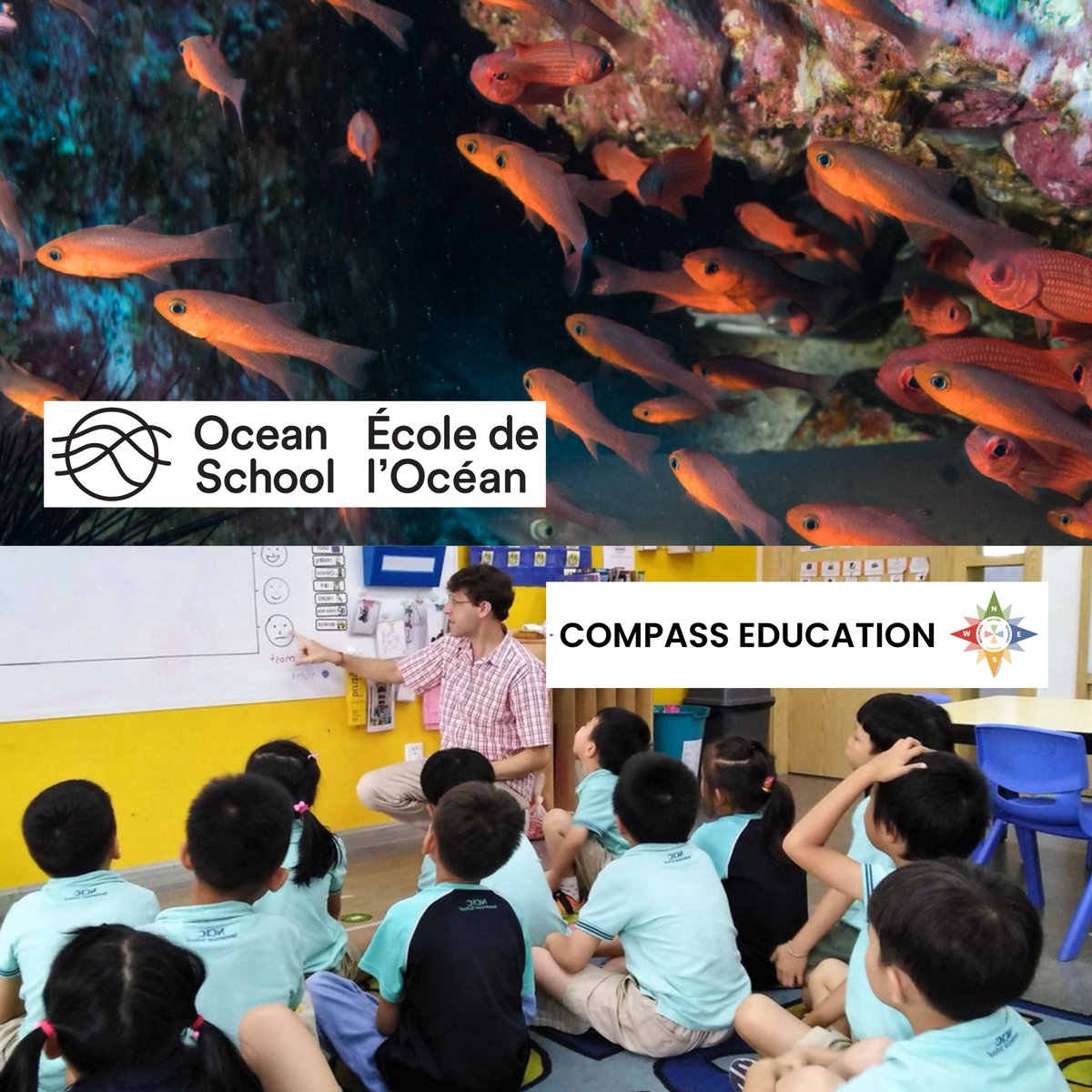 Thrilled to announce the new partnership between Compass Education and Ocean School! Empowering educators with sustainability & systems thinking tools. Get ready for innovative approaches shaping education! @OceanSchoolNow #CompassEducation #OceanSchool #Sustainability #Education