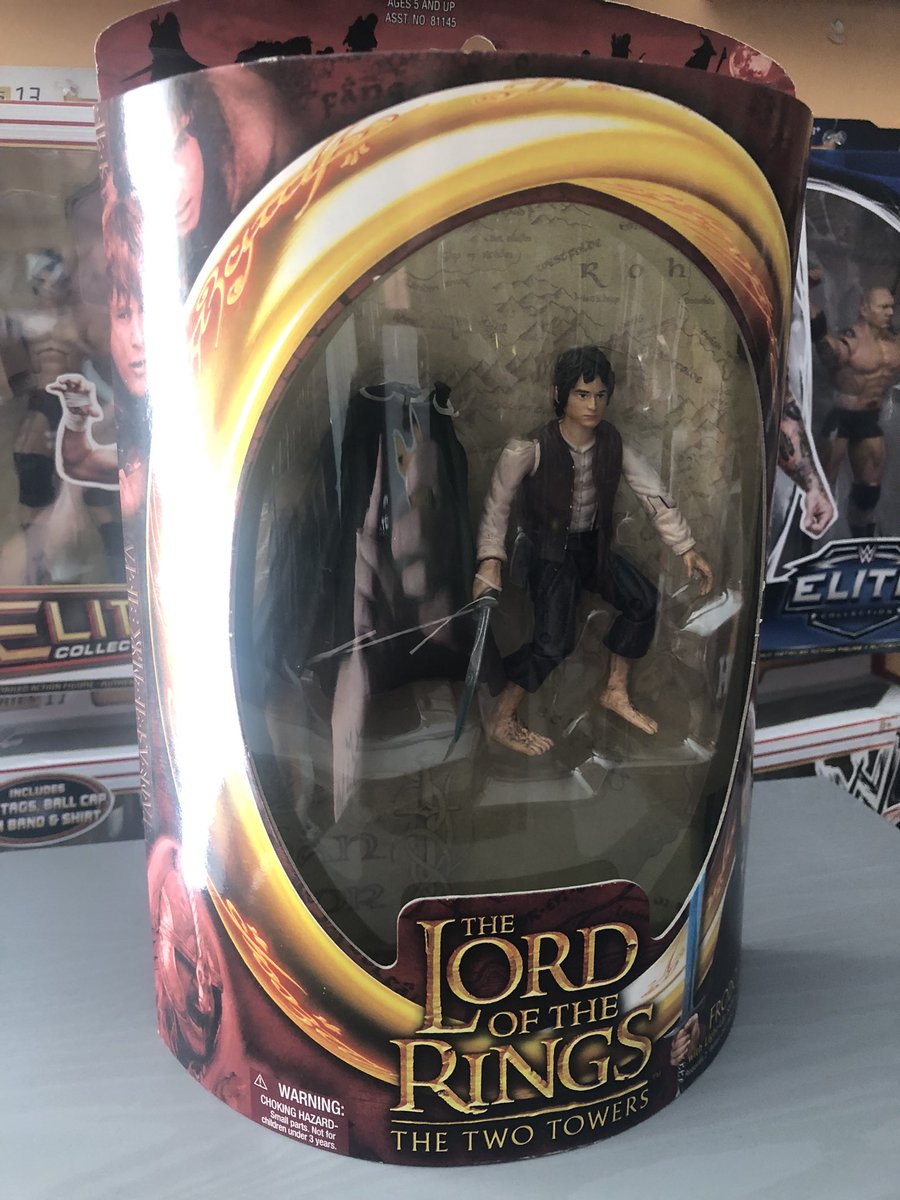 Lord of the Rings - Frodo - Two Towers #lotr #lordoftherings #frodo #ring #middleearth #figurephotography #actionfigures #collection #movie #moviefigures #fyp