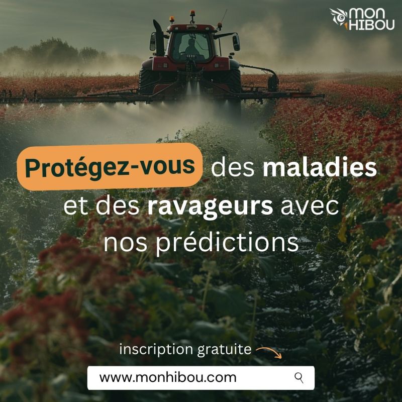 Jean Sébastien Lefèvre tweet media