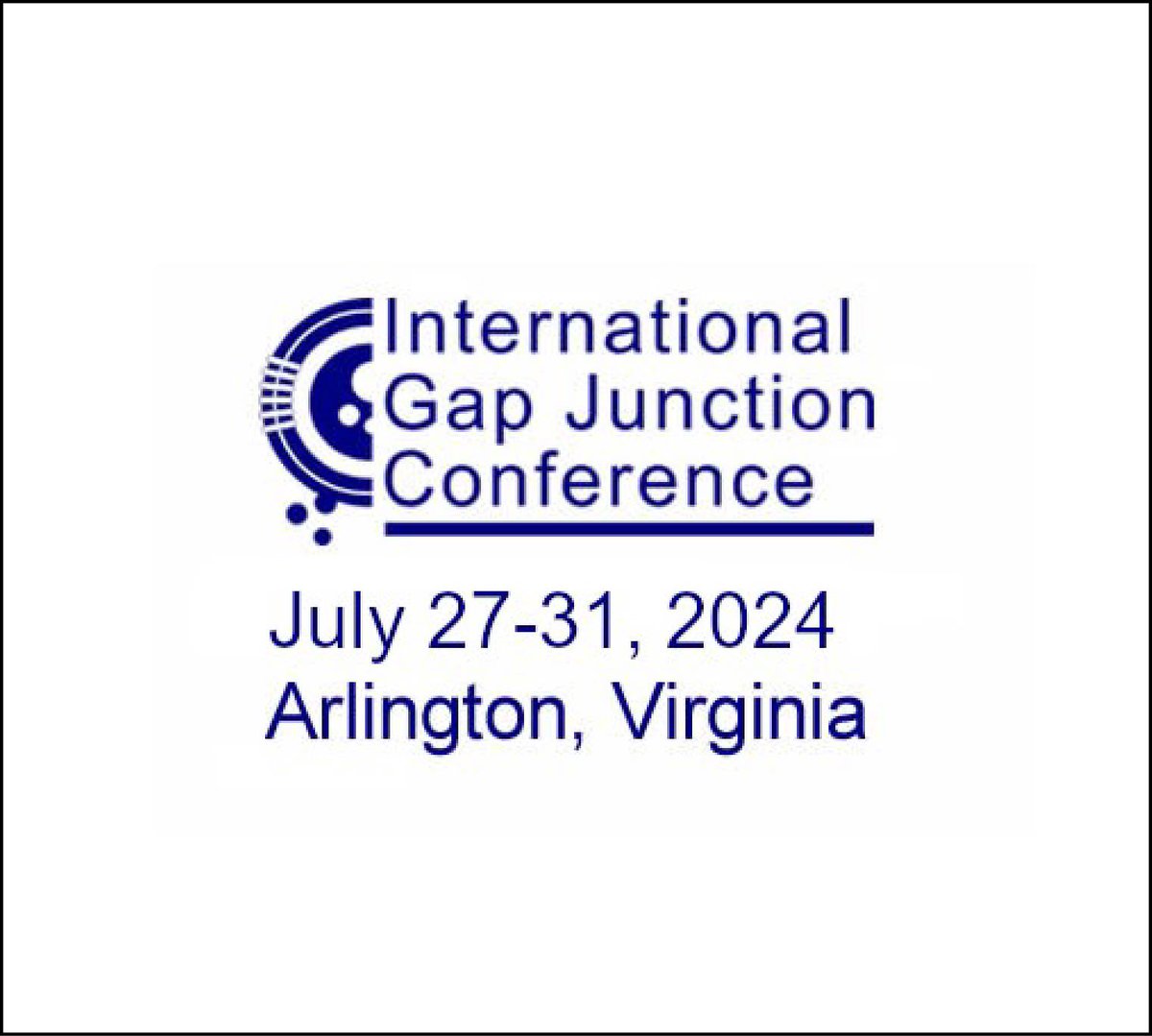Two weeks left to submit your abstracts for talks at @igjc2024 in DC. Posters only after May 1. Register today at igjconference.org #gapjunctions #pannexins #connexins #innexins
