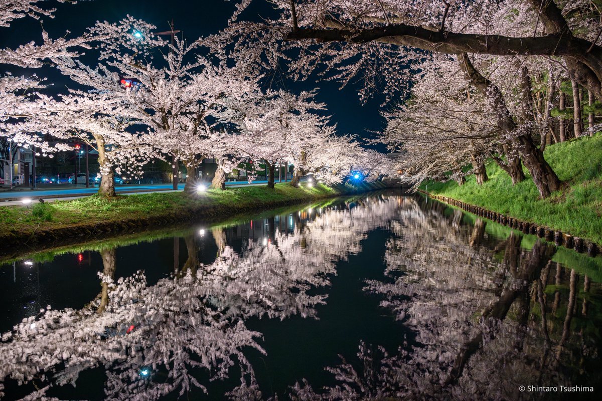 昨日の弘前公園🌸

満開でめちゃ綺麗だった！
みんな！行くなら今だぞ！

迷ってる暇はない！

#弘前さくらまつり #東京カメラ部