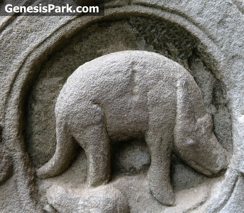 They pretend this carving on a temple shows that dinosaurs were real. It shows an example of megafauna (a mammal most likely) which is more appropriate to the timeframe the civilization existed. It wasn't 65 million years ago was it!