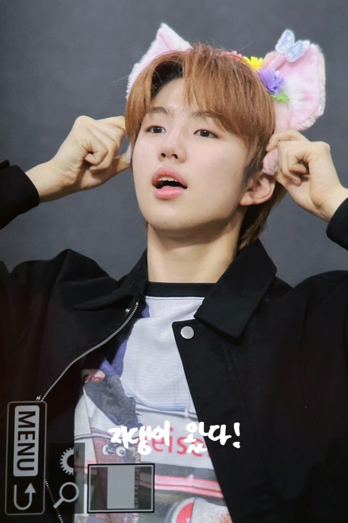 WINDFALL_JiHoo🥽 tweet media