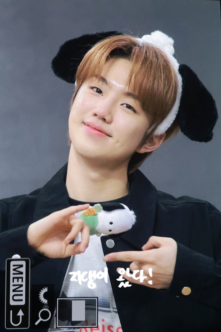 WINDFALL_JiHoo🥽 tweet media