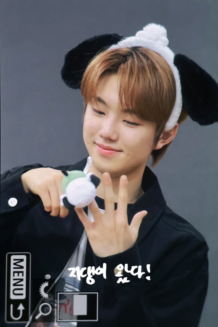 WINDFALL_JiHoo🥽 tweet media