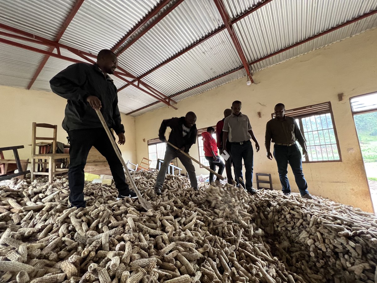 【From🇧🇮】We are thrilled to announce the launch of a groundbreaking project promotes livelihood improvement and climate resilience through briquette production and sales. Help reduce street children – we're collecting banana peels.

#Burundi #streetchildren  #climateaction