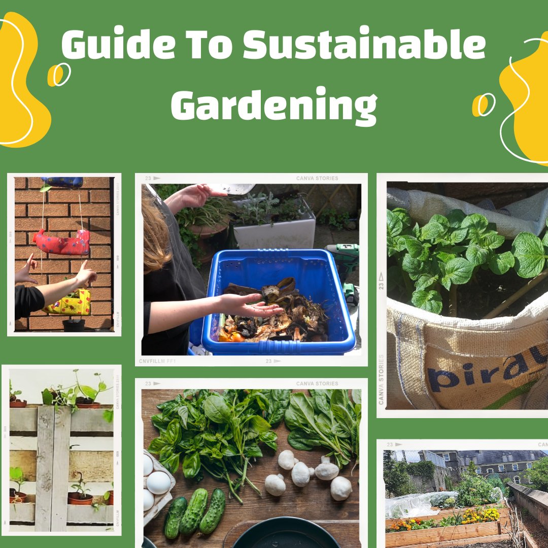 New Blog Post!! Guide To Sustainable Gardening. Want to learn more? Check out our sustainable growing videos to help you get started.

Waterford Climate Action Water of The Future #PeopleAndPlanet

sliwaterford.ie/blog/be-the-ha…