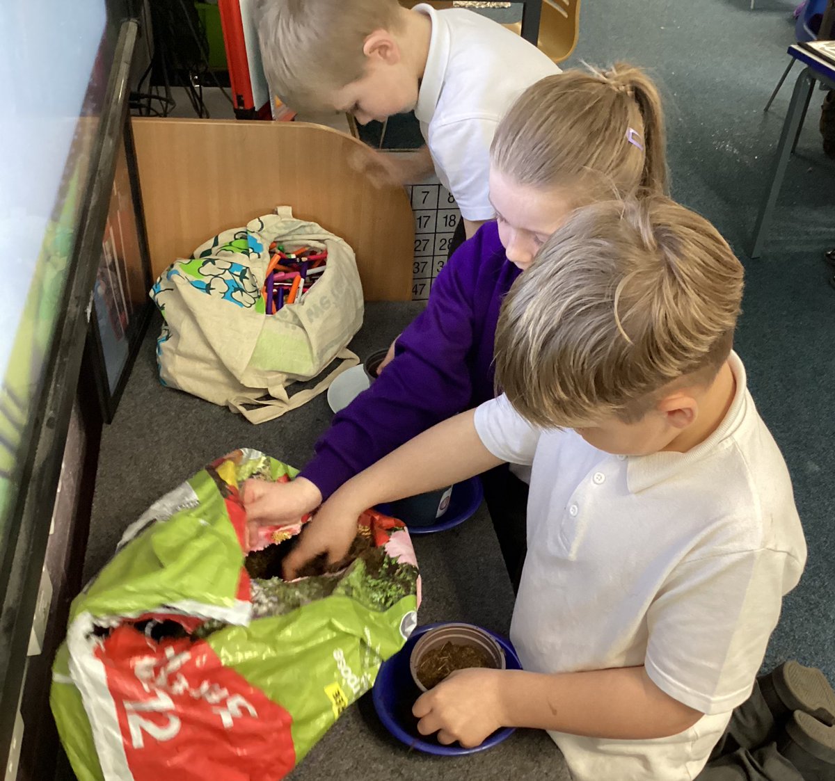 Mrs Rollason tweet media