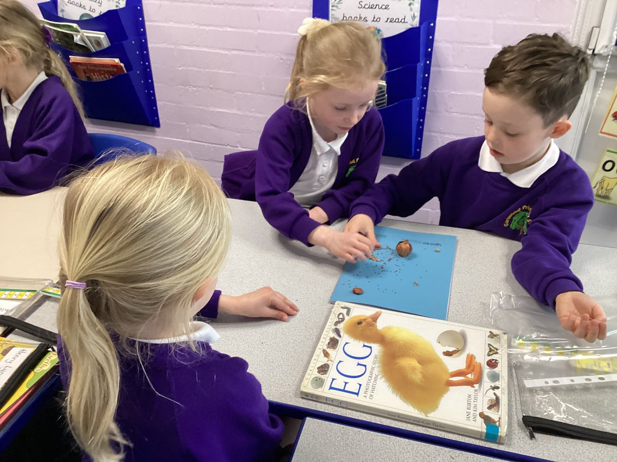 Mrs Rollason tweet media