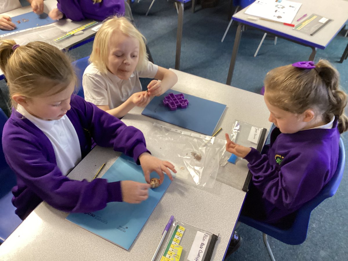 In Science, Y2 have been exploring seeds and bulbs and have set up an experiment to test what a plant needs to grow well. @MissJenkinson @GarswoodPrimary