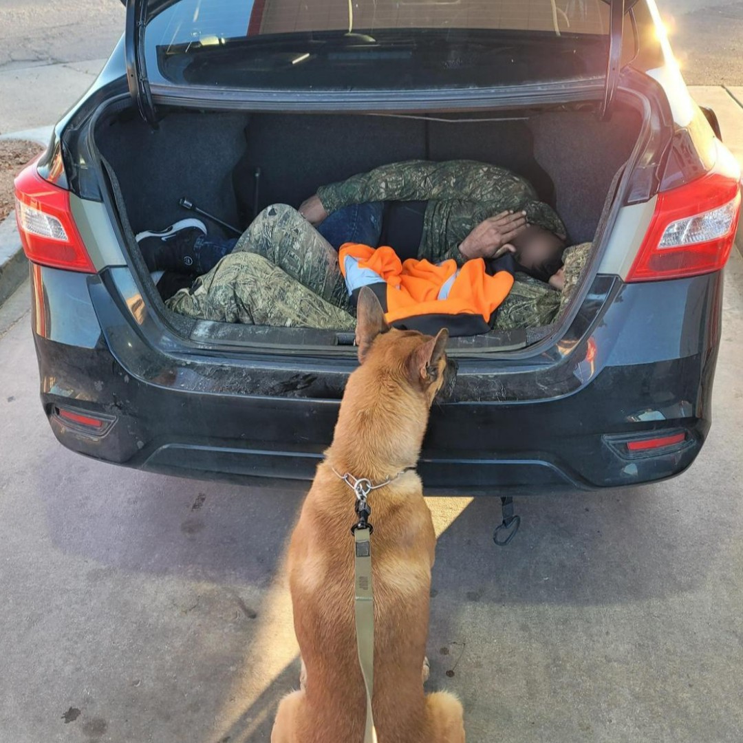 Smuggling migrants in a vehicle trunk is extremely dangerous, especially as temperatures begin to rise in Arizona. 4/7: Willcox Station agents rescued smuggled migrants from inside a trunk at a gas station following a #K9Alert. The driver, a U.S. citizen faces criminal charges.