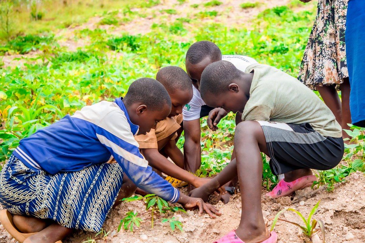 Promoting climate change education among young people fosters a sense of urgency, responsibility, and awareness to create a more sustainable and greener planet. #GreenGeneration #EcoEducation