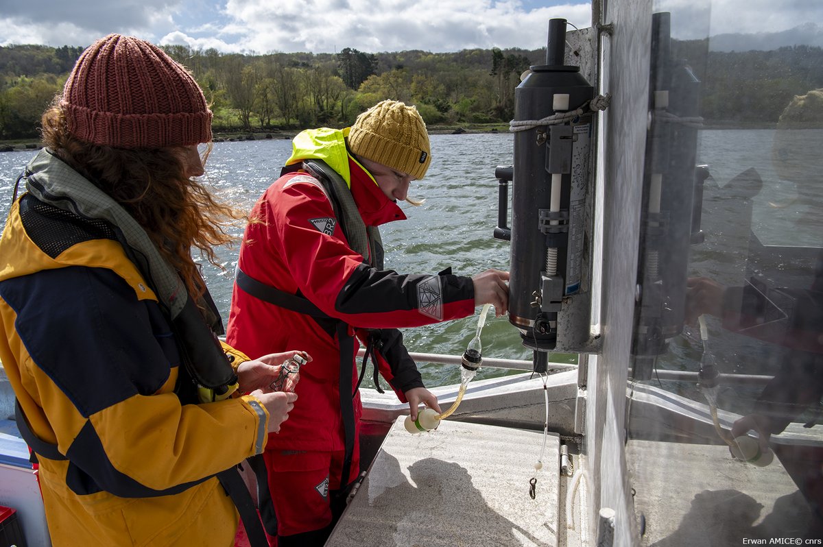 Les Tp #chimie de #Master à l' @IUEM_Brest en action dans l'Aulne #aulne et l'Elorn #elorn @UBO_UnivBrest @CNRSImages @CNRS_INSU @CNRS_dr17 @LemarLab @letudiant