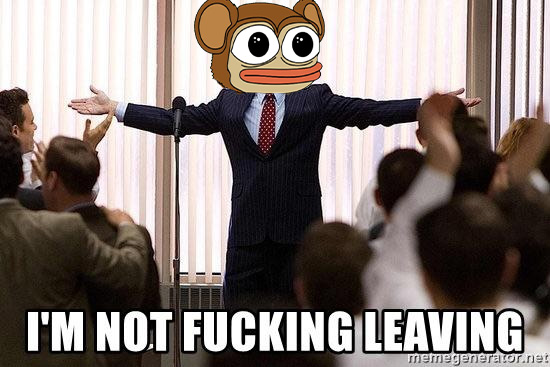 mort_solana's tweet photo. GOOOOOD MORNING SOLANA. WE STILL HERE!!! Mouse lemur's aren't afraid of a little bear market! https://t.co/9m6p5V0EYT