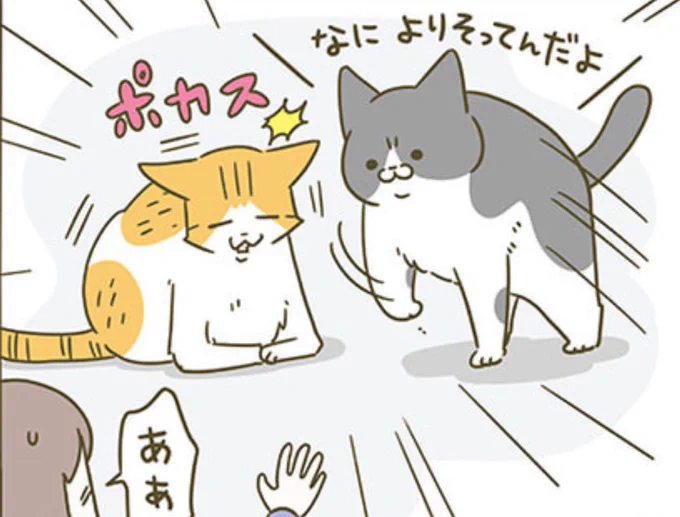 だいたいこうなる 