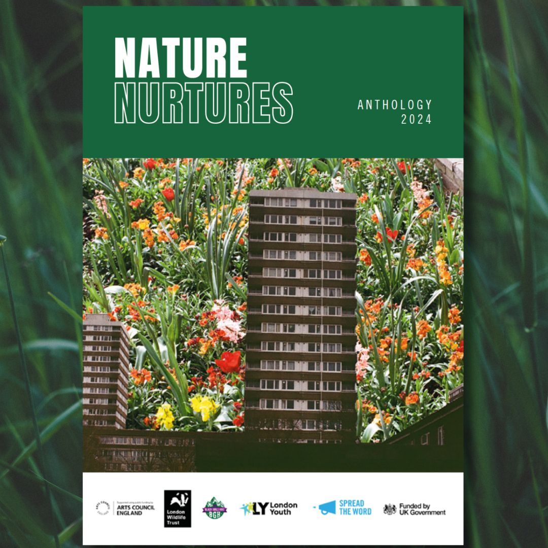 Looking for some nature-infused inspiration? 🌱 Why not check out our 2024 #NatureNurtures anthology feat stories, poetry, photos &amp; more, or watch some brilliant short films, all made by talented young creatives as part of Nature Nurtures w/@WildLondon ➡️  buff.ly/43Z97qo