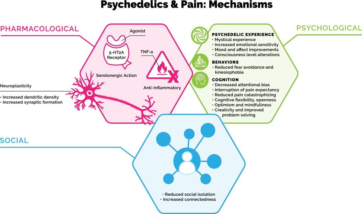 JPDeAquinoMD's tweet image. Our latest paper explores the potential of #psychedelics in treating chronic #pain &amp;amp; #OpioidUseDisorder. 

Given rising opioid challenges, we delve into novel approaches that could reshape pain management with @JeremyWeleff, @jcnunes_md and others. 

bpspubs.onlinelibrary.wiley.com/doi/10.1111/bc…