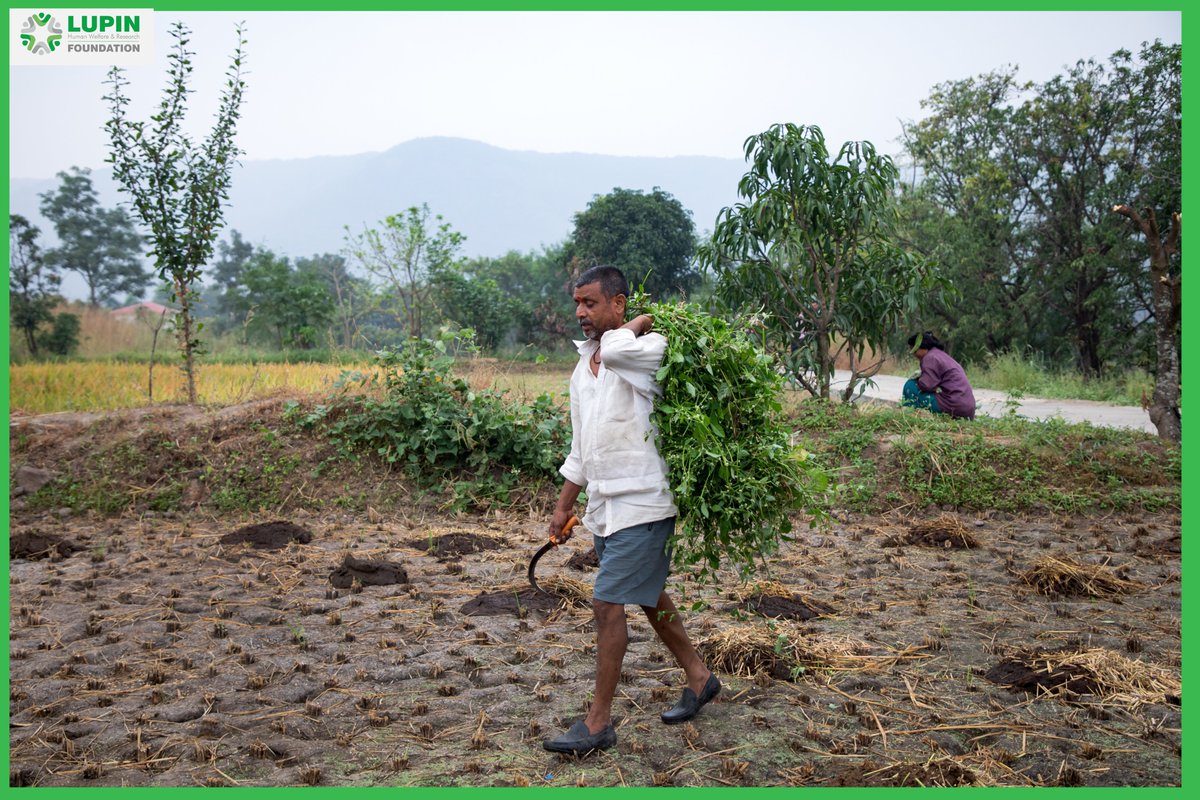 LupinCSR's tweet photo. At 45, Hanumant Kisan Ghare isn't just milking cows; he's milking opportunities. 

Thanks to the support of @LupinCSR  and @AtlasCopcoIndia Ltd, Hanumant bought a jersey cow and transitioned from one cow to a thriving dairy enterprise in Mulshi block, Pune, #Maharashtra. 🥛🐄 https://t.co/Ubrbda9prX