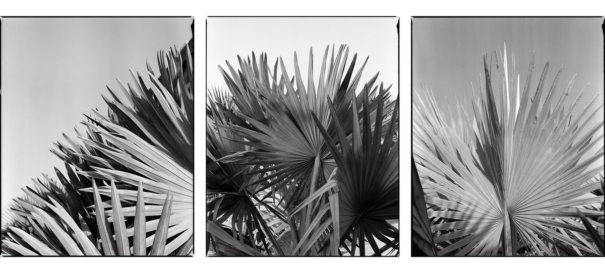 New work: a landmark project creating branding, custom photography and web design for Dubai real estate and lifestyle business KOA. richardpchapman.com/2024/04/17/koa… #branddesign #webdesign