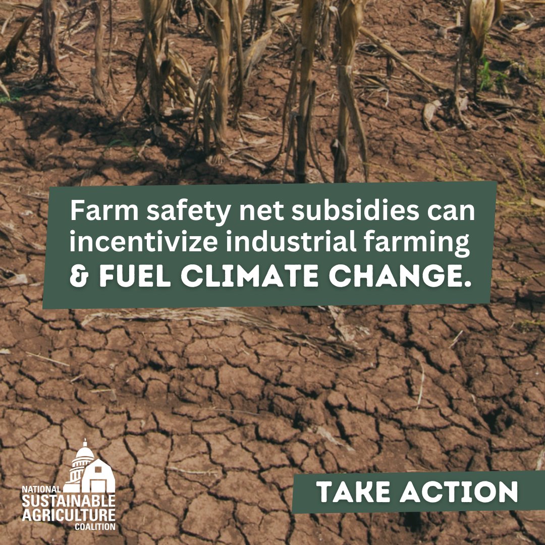 📢We need your support to tell Congress that increasing commodity subsidies could have major climate consequences. 📲Call your members of Congress now 🔗 actnow.io/FtnS5v8