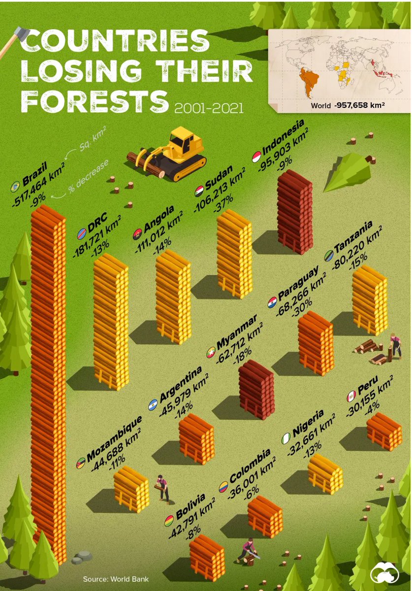 Ranked: Top Countries by Total Forest Loss Since 2001