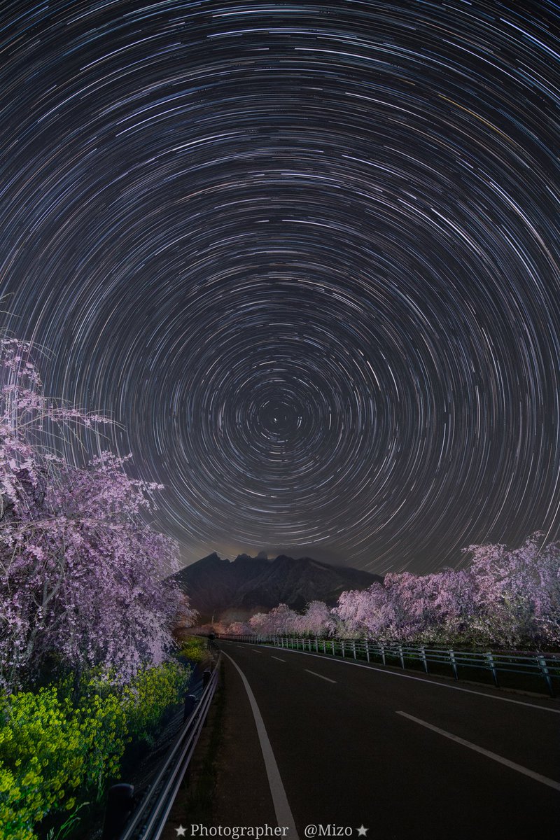 サクラミチ　阿蘇高森町
#星ぐる #桜 #しだれ桜 #サクラミチ #阿蘇