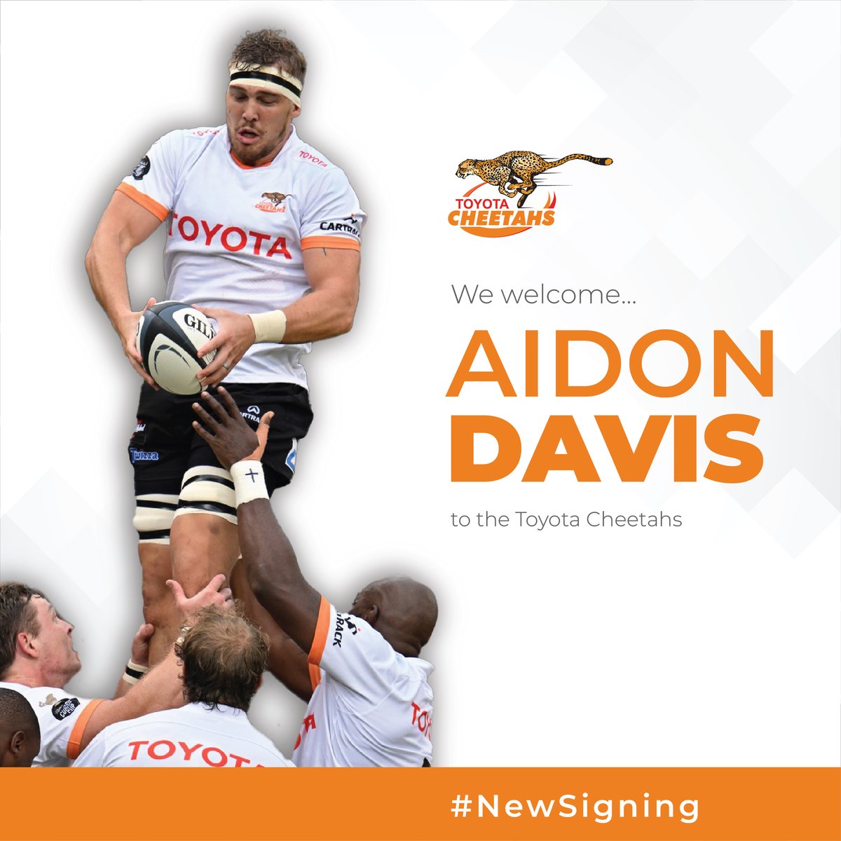 💥NEW SIGNING💥 Aidon Davis Returns to Roar with the Toyota Cheetahs cheetahs.rugby/news/aidon-dav… @ToyotaSA