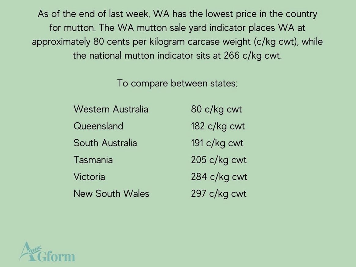 Exhibit B- @MurrayWatt policy to end the WA live sheep export trade…..Wool Production collapsing…. Sheep numbers falling….. most classes of sheep worthless…⬇️ complete industry destruction at the hands of Labor @AGformau #KeepTheSheep