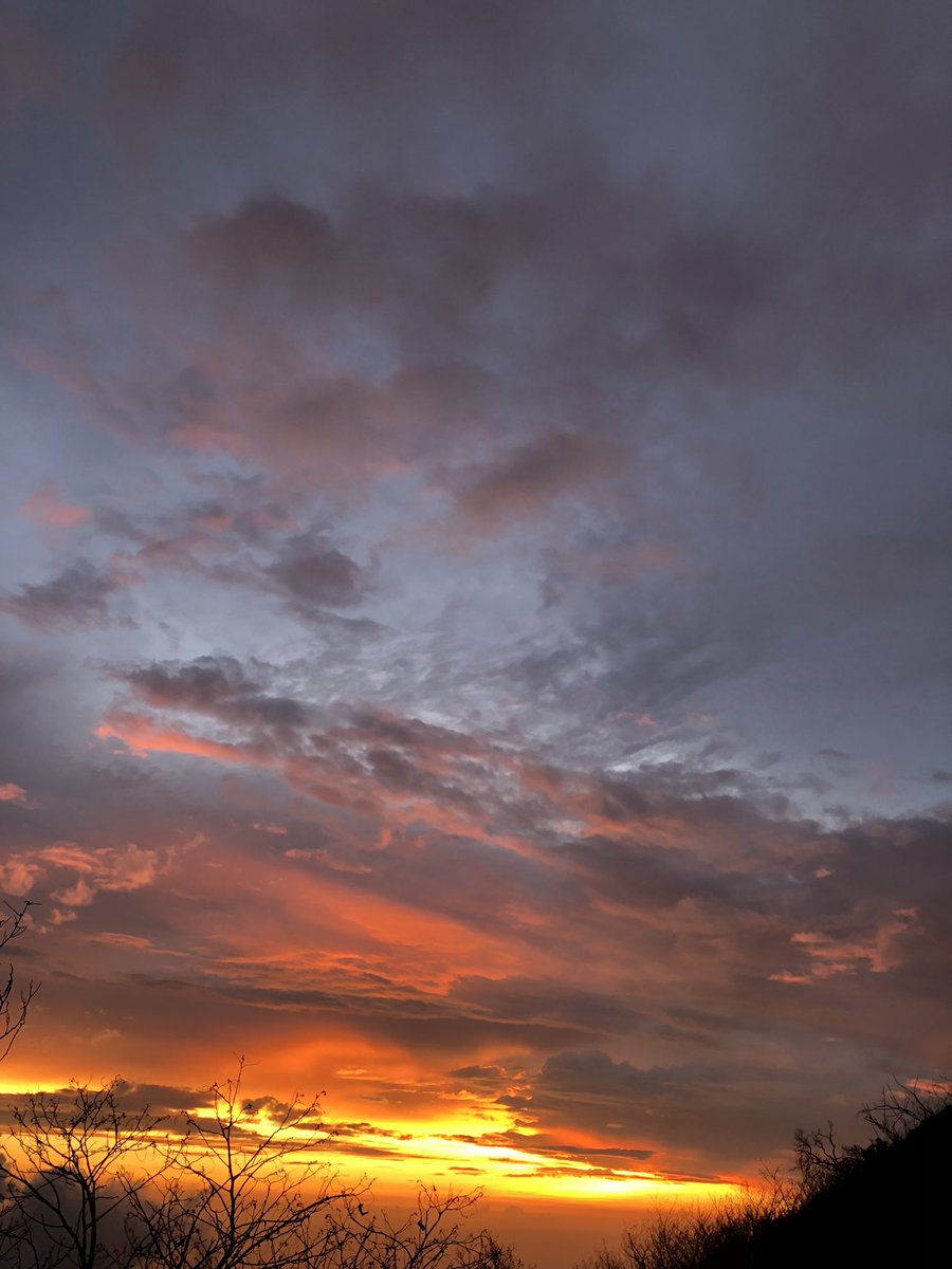 fadhil aufa heidyandra tweet media