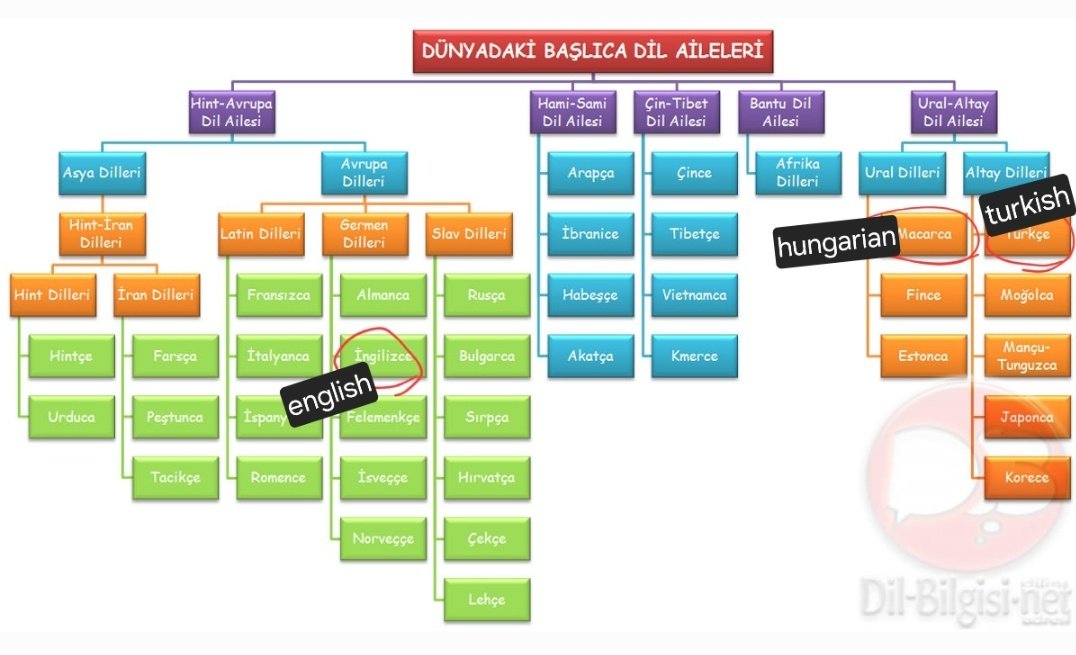 @Lylindt @swifferwins I'm not, i just give my opinion on the subject. Like i said i am also non-native english speaker and this is also an issue i come across constantly. (Ps. ig they really need to open the schools cuz hungarian and turkish IS from the same family and this is a common knowledge)