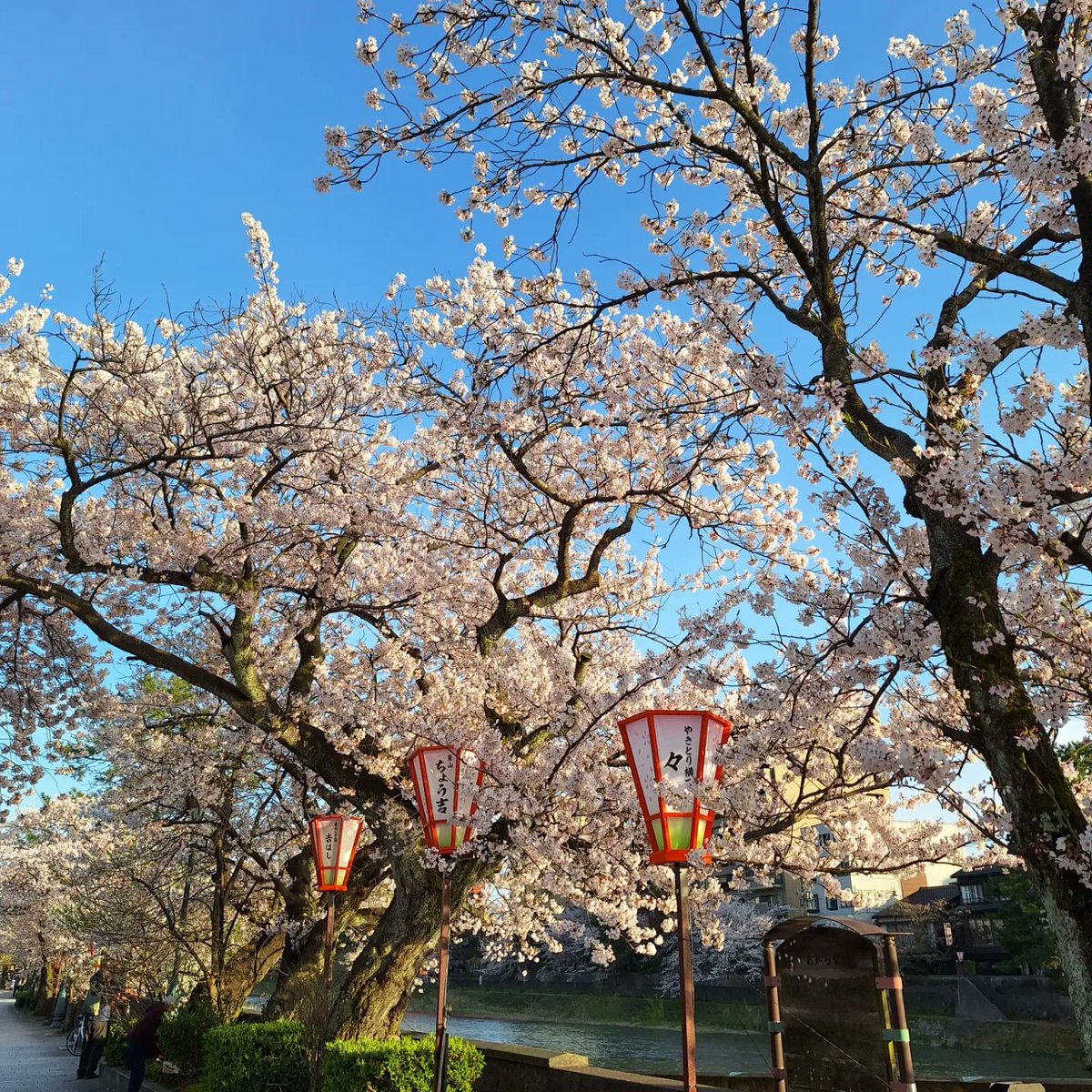 Dr Marta PerezFernandez tweet media