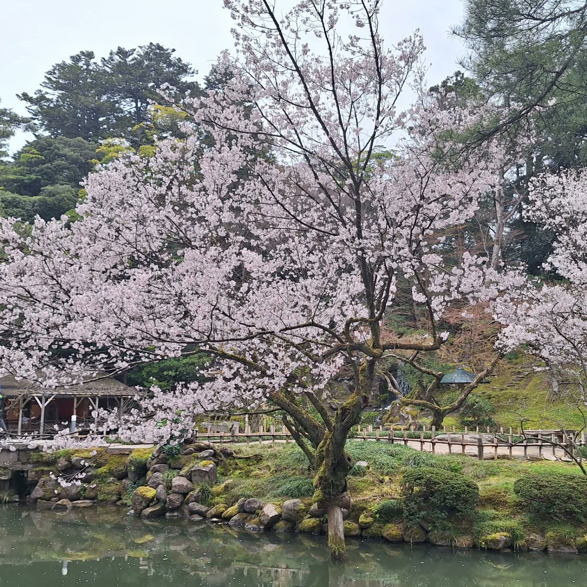 Dr Marta PerezFernandez tweet media