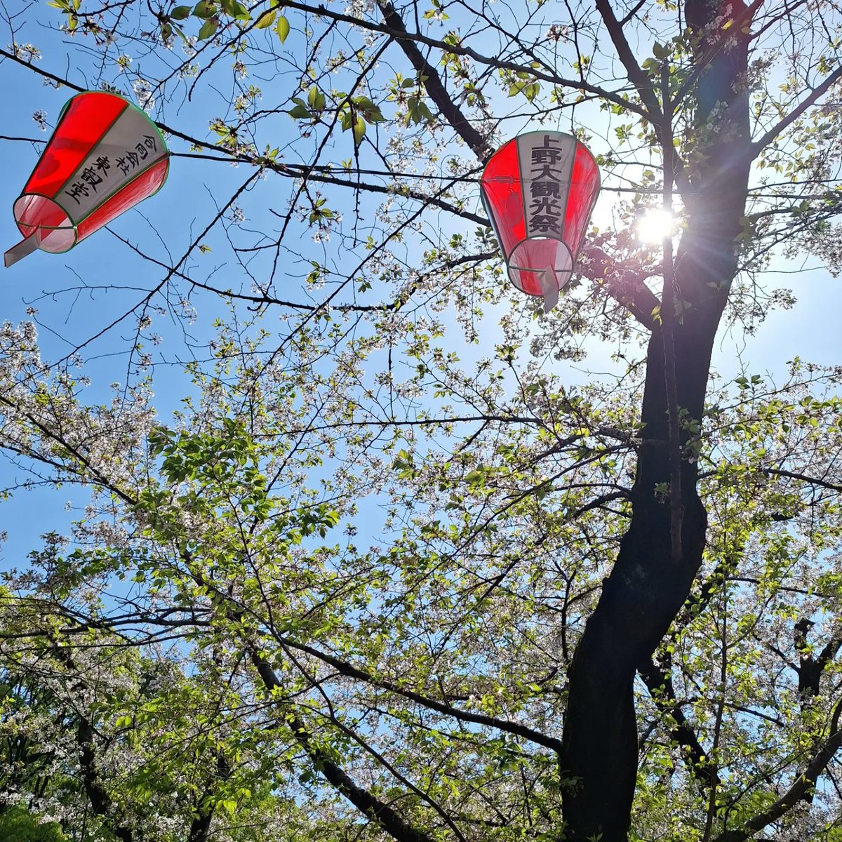 I was very lucky to be in Japan during the brief and beautiful Sakura season. The blooming symbolizes the fleeting nature of life and both life and death, beauty and violence.