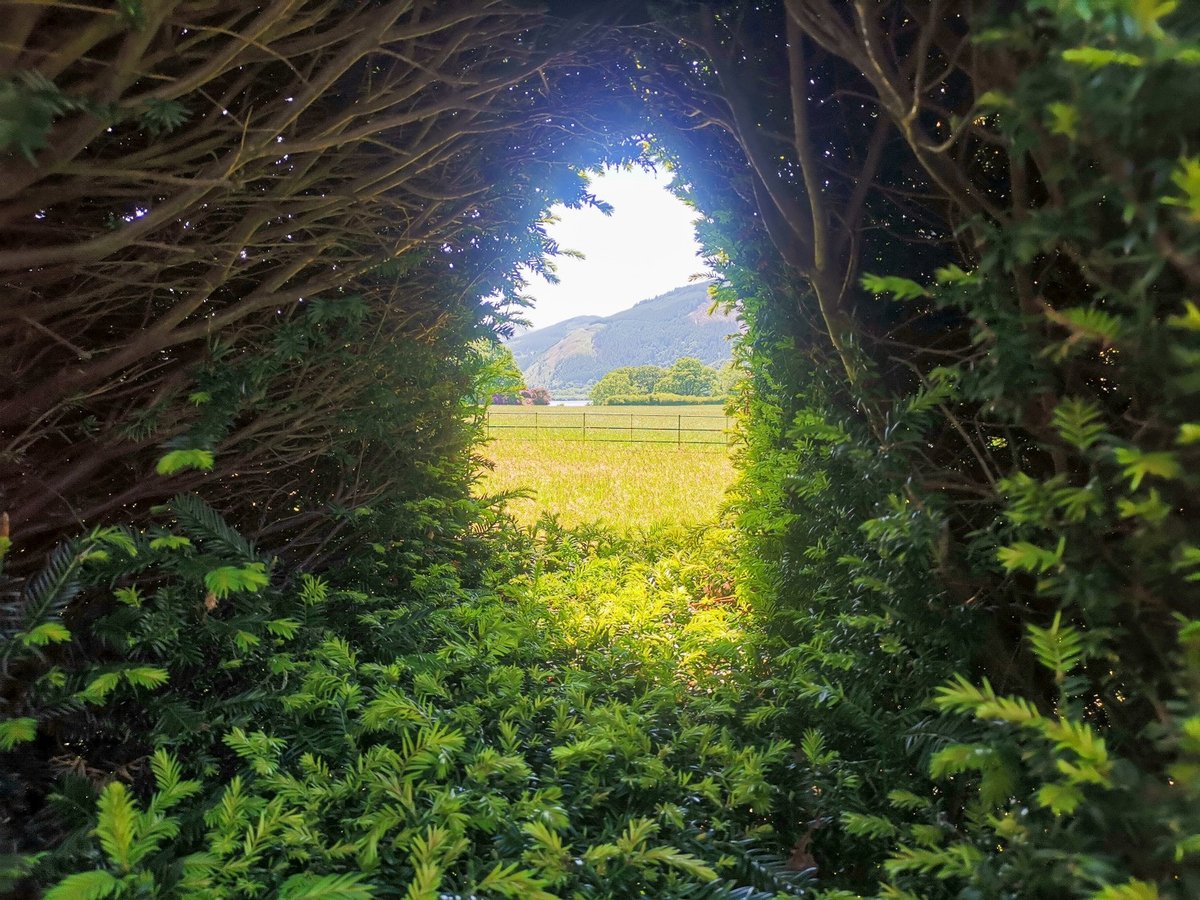 Lake District Photography - Mirehouse Grounds tuppu.net/87a7154c #lakedistrict #uk #birthdaycard #lakedistrictphotography #homedecor #lakedistrictgifts #greetingscard #photography #uklakes #visitcumbria