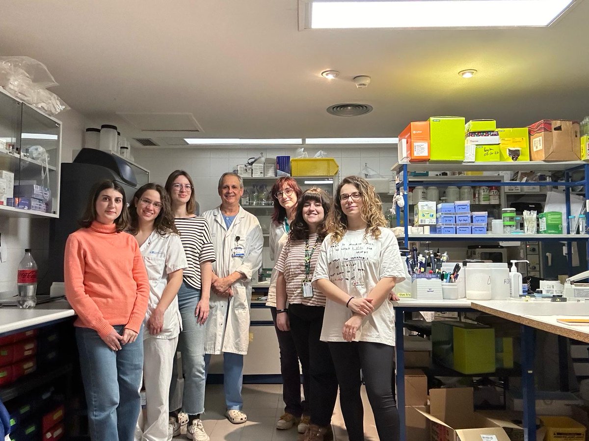 IIS_IdISSC's tweet photo. 📰 El grupo de Investigacion #IdISSC dirigido por @Josemtzorgado, demuestra como el tratamiento con #Cannabidiol reduce el daño cerebral y evita secuelas motoras en un modelo de hemorragia intracerebral en recién nacidos  #prematuros. @SEICannabinoide 
⬇ https://t.co/UFMmxT1JnE https://t.co/8B6F6LSscE