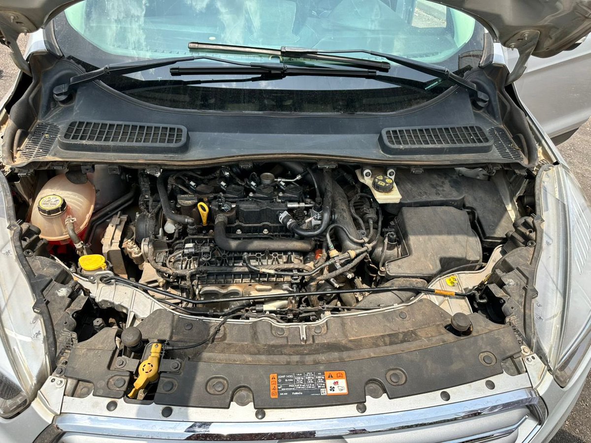 ShedysMotor's tweet photo. Let’s Deal ‼️🔥🔥‼️

Form Escape 2019 Model
Custom duty paid &amp; Properly documented.
In Premium condition…

Price: N12M
Abuja
Shedy’s Motor
To book an inspection Call/WhatsApp 08141964920 https://t.co/s73uKDFbko