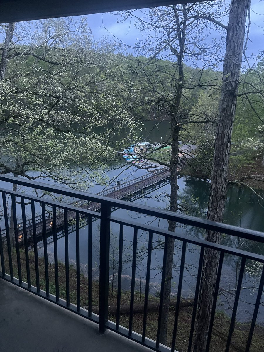 Candi Collier 🏃‍♀️ tweet media