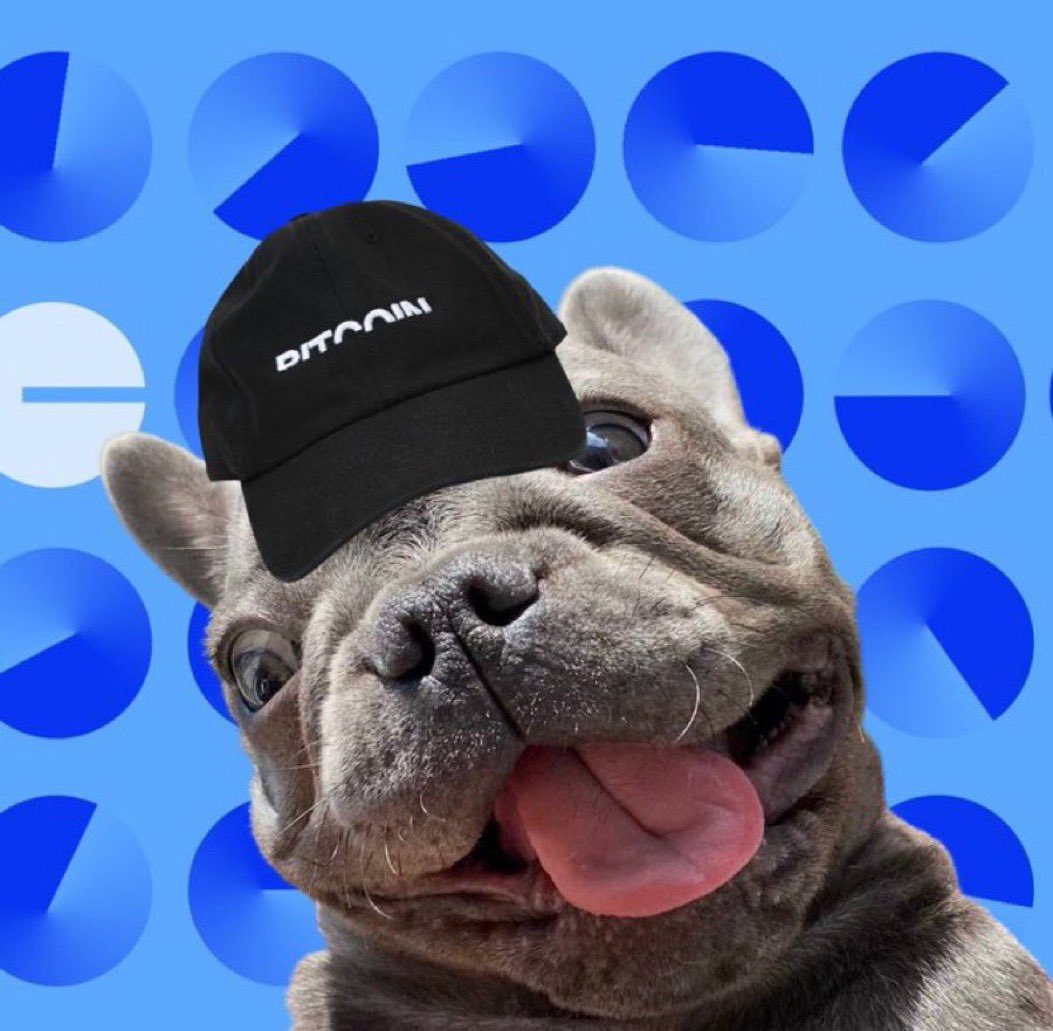 thiNhiDoan80914's tweet photo. @LedgeNFTs Check out $DEFIDO please, dont fade it
$DEFIDO is such a hidden gem from #BASE where
- Team/dev never stop working
- Community is holding strong as diamond
- Shilling is how we show #DEFIDO love

In the next upcoming weeks, we will have a lot of good stuffs to show.
@defidotoken https://t.co/3sDKL3Oakc